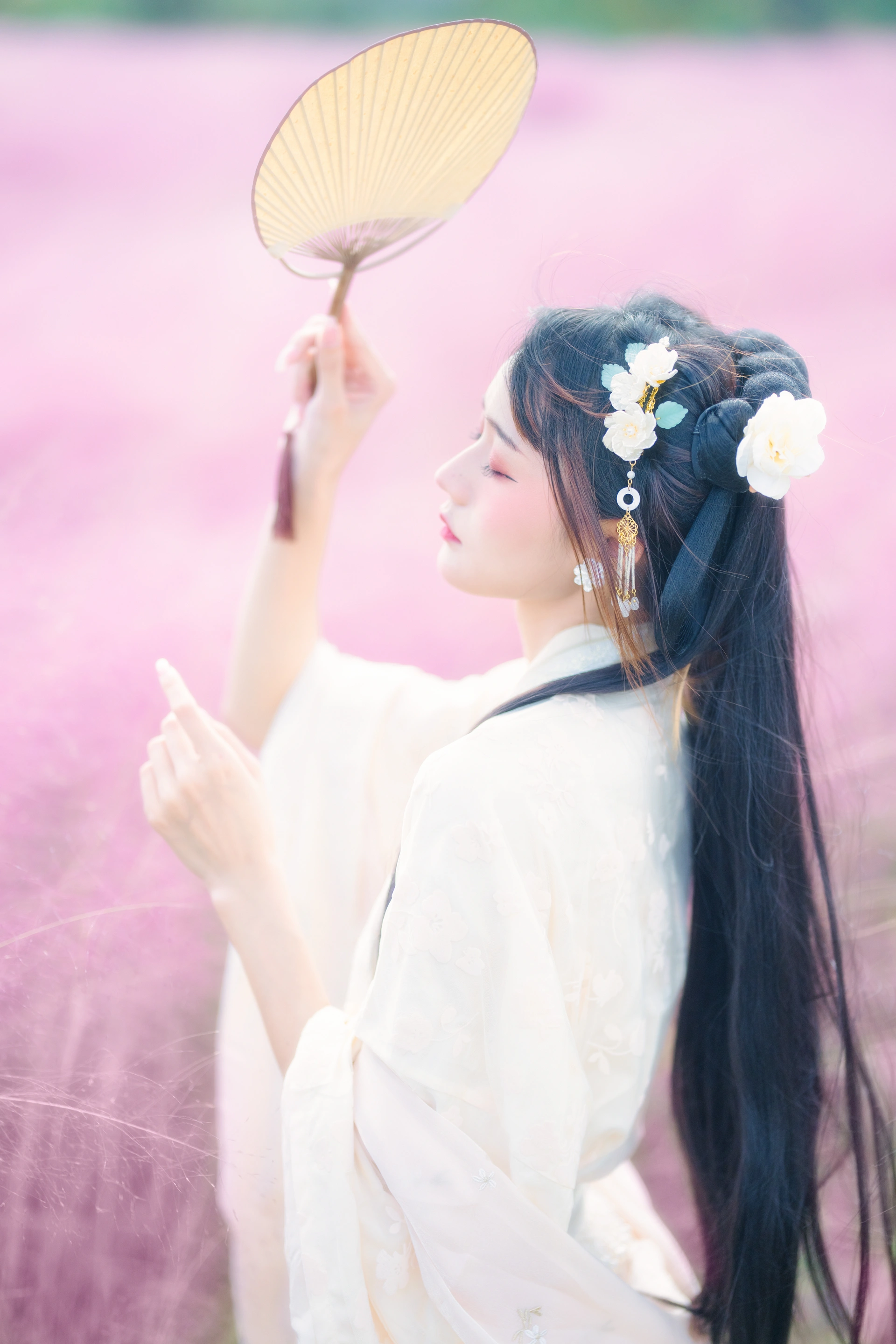 兔子Zzz不吃胡萝卜 - NO.66 粉草回忆 2